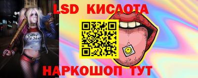 ECSTASY Ачхой-Мартан